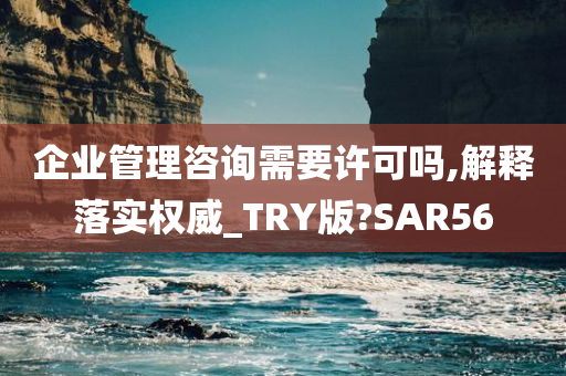 企业管理咨询需要许可吗,解释落实权威_TRY版?SAR56