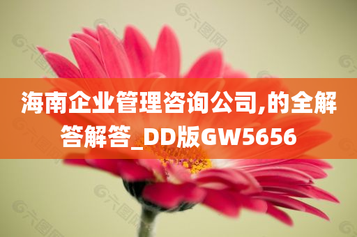 海南企业管理咨询公司,的全解答解答_DD版GW5656