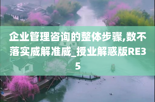 企业管理咨询的整体步骤,数不落实威解准威_授业解惑版RE35