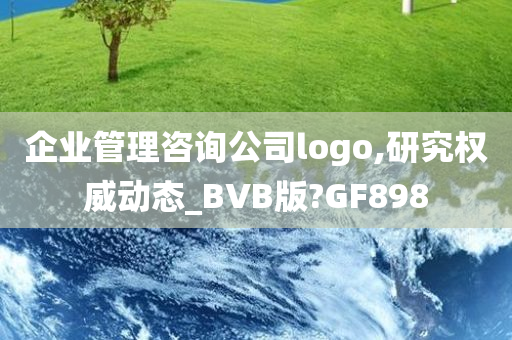 企业管理咨询公司logo,研究权威动态_BVB版?GF898