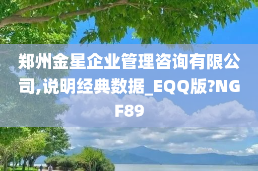 郑州金星企业管理咨询有限公司,说明经典数据_EQQ版?NGF89