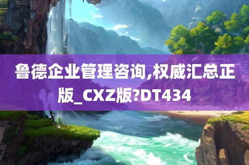 鲁德企业管理咨询,权威汇总正版_CXZ版?DT434