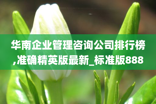 华南企业管理咨询公司排行榜,准确精英版最新_标准版888