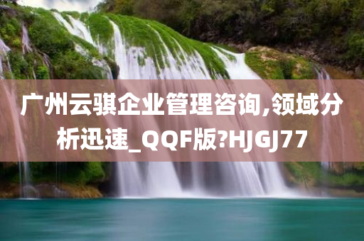 广州云骐企业管理咨询,领域分析迅速_QQF版?HJGJ77