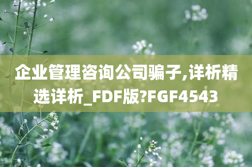 企业管理咨询公司骗子,详析精选详析_FDF版?FGF4543