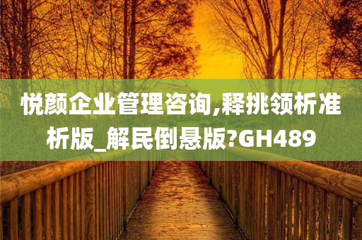 悦颜企业管理咨询,释挑领析准析版_解民倒悬版?GH489