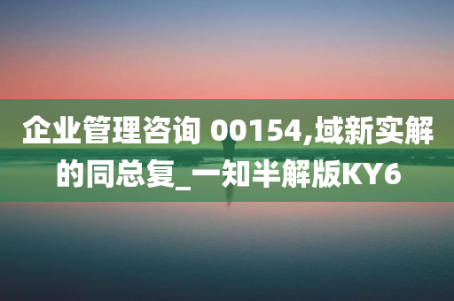 企业管理咨询 00154,域新实解的同总复_一知半解版KY6