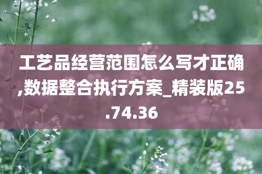 工艺品经营范围怎么写才正确,数据整合执行方案_精装版25.74.36