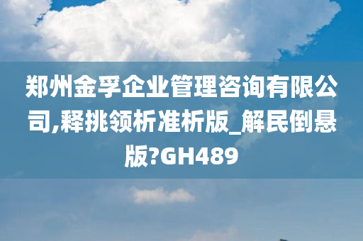 郑州金孚企业管理咨询有限公司,释挑领析准析版_解民倒悬版?GH489