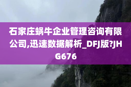 石家庄蜗牛企业管理咨询有限公司,迅速数据解析_DFJ版?JHG676