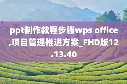 ppt制作教程步骤wps office,项目管理推进方案_FHD版12.13.40