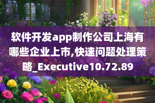 软件开发app制作公司上海有哪些企业上市,快速问题处理策略_Executive10.72.89