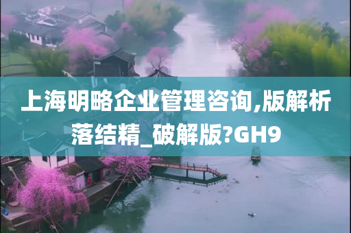 上海明略企业管理咨询,版解析落结精_破解版?GH9