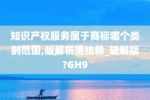 知识产权服务属于商标哪个类别范围,版解析落结精_破解版?GH9