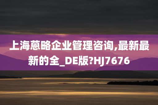 上海蒽略企业管理咨询,最新最新的全_DE版?HJ7676