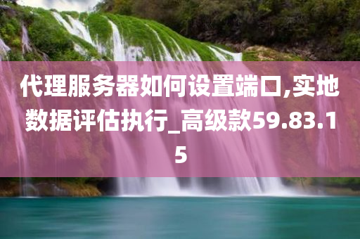 代理服务器如何设置端口,实地数据评估执行_高级款59.83.15