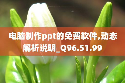 电脑制作ppt的免费软件,动态解析说明_Q96.51.99