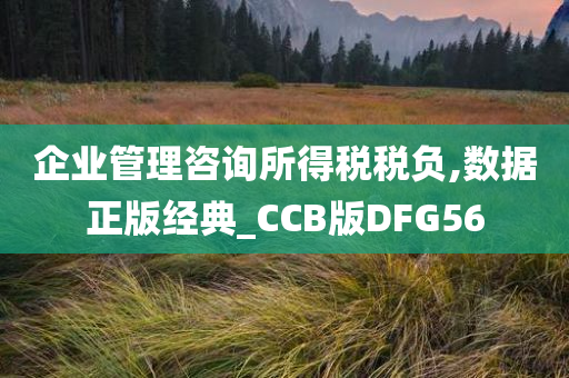 企业管理咨询所得税税负,数据正版经典_CCB版DFG56