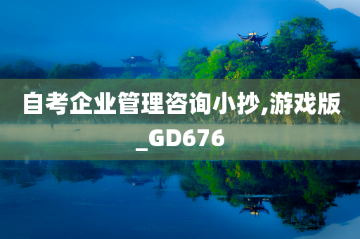 自考企业管理咨询小抄,游戏版_GD676