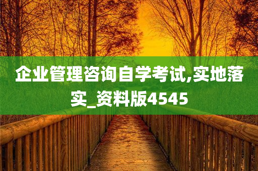 企业管理咨询自学考试,实地落实_资料版4545