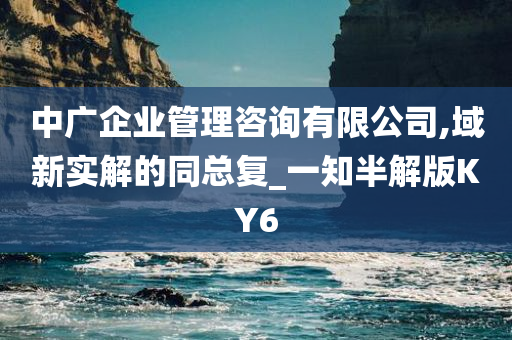 中广企业管理咨询有限公司,域新实解的同总复_一知半解版KY6