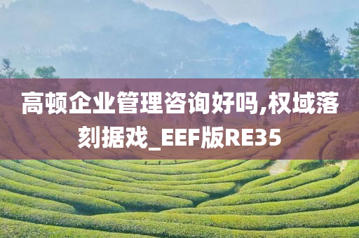 高顿企业管理咨询好吗,权域落刻据戏_EEF版RE35