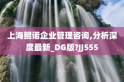 上海鲲诺企业管理咨询,分析深度最新_DG版?JJ555