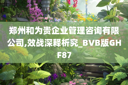 郑州和为贵企业管理咨询有限公司,效战深释析究_BVB版GHF87