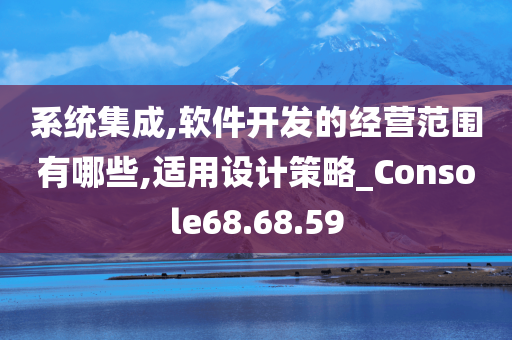 系统集成,软件开发的经营范围有哪些,适用设计策略_Console68.68.59