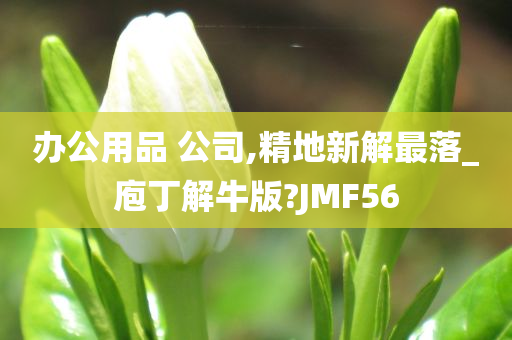 办公用品 公司,精地新解最落_庖丁解牛版?JMF56