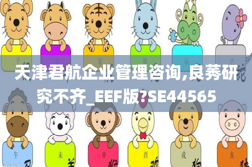 天津君航企业管理咨询,良莠研究不齐_EEF版?SE44565