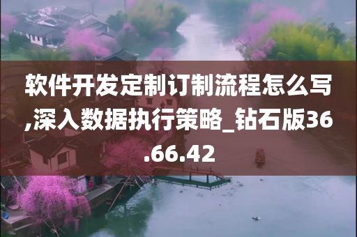 软件开发定制订制流程怎么写,深入数据执行策略_钻石版36.66.42