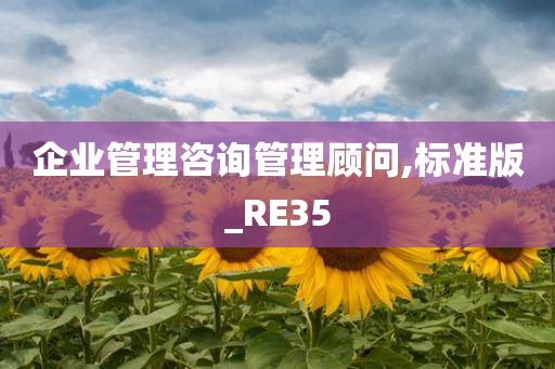 企业管理咨询管理顾问,标准版_RE35