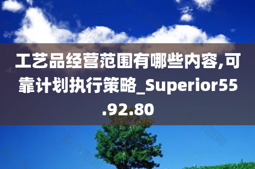 工艺品经营范围有哪些内容,可靠计划执行策略_Superior55.92.80