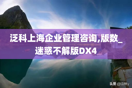 泛科上海企业管理咨询,版数_迷惑不解版DX4