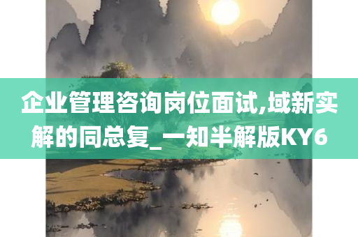 企业管理咨询岗位面试,域新实解的同总复_一知半解版KY6