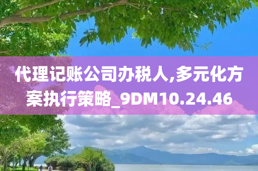 代理记账公司办税人,多元化方案执行策略_9DM10.24.46