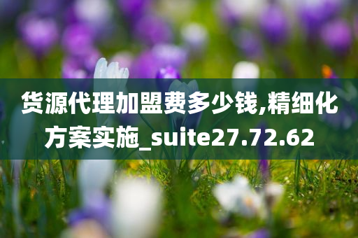 货源代理加盟费多少钱,精细化方案实施_suite27.72.62