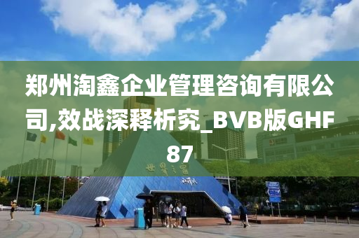 郑州淘鑫企业管理咨询有限公司,效战深释析究_BVB版GHF87