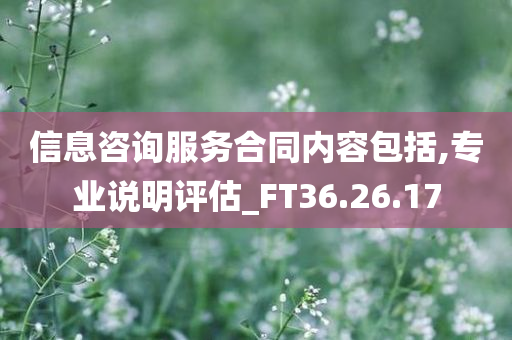 信息咨询服务合同内容包括,专业说明评估_FT36.26.17