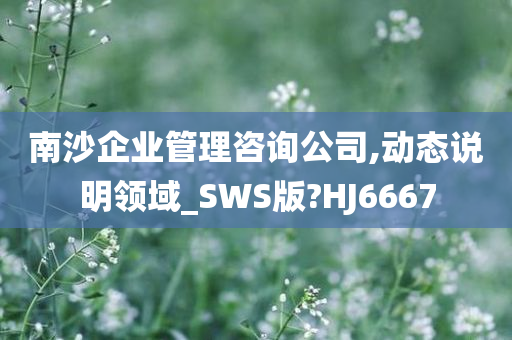 南沙企业管理咨询公司,动态说明领域_SWS版?HJ6667