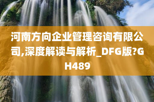 河南方向企业管理咨询有限公司,深度解读与解析_DFG版?GH489