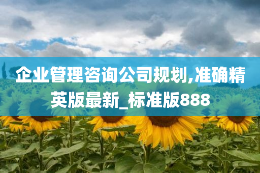 企业管理咨询公司规划,准确精英版最新_标准版888