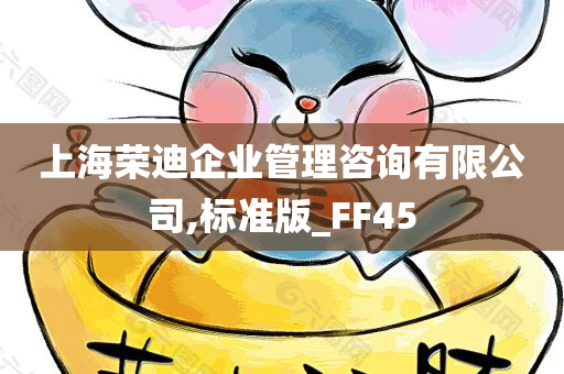 上海荣迪企业管理咨询有限公司,标准版_FF45