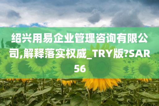 绍兴用易企业管理咨询有限公司,解释落实权威_TRY版?SAR56