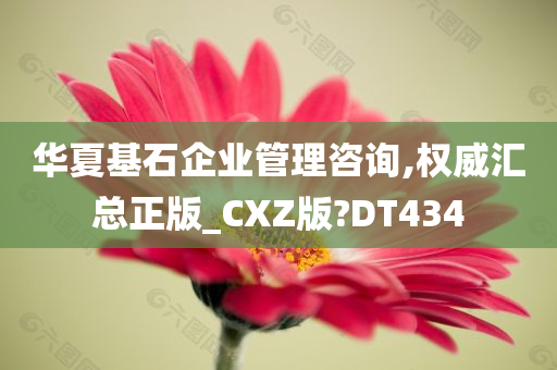 华夏基石企业管理咨询,权威汇总正版_CXZ版?DT434