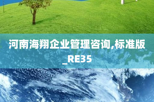 河南海翔企业管理咨询,标准版_RE35