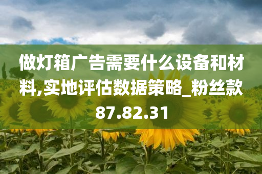 做灯箱广告需要什么设备和材料,实地评估数据策略_粉丝款87.82.31