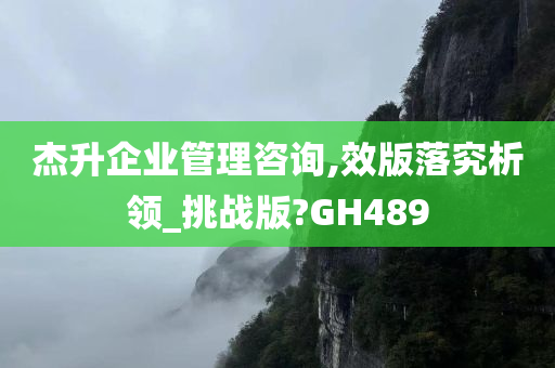 杰升企业管理咨询,效版落究析领_挑战版?GH489