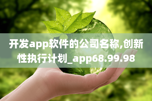 开发app软件的公司名称,创新性执行计划_app68.99.98